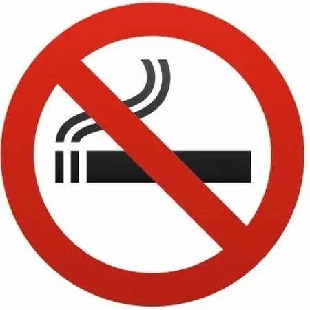 Du Donjon * Carcassonne