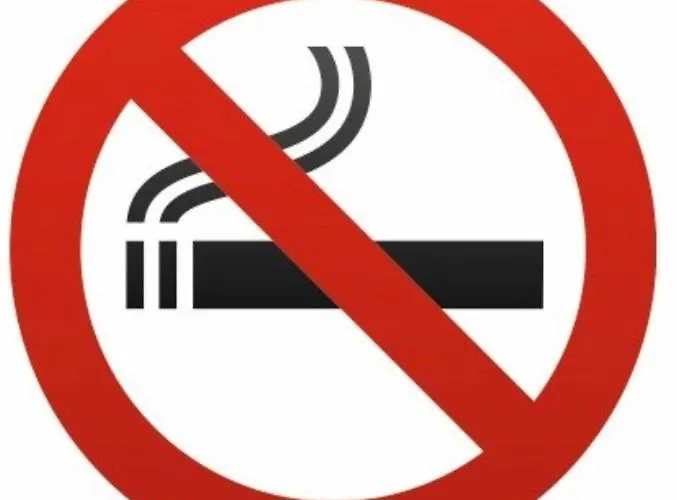 Du Donjon * Carcassonne